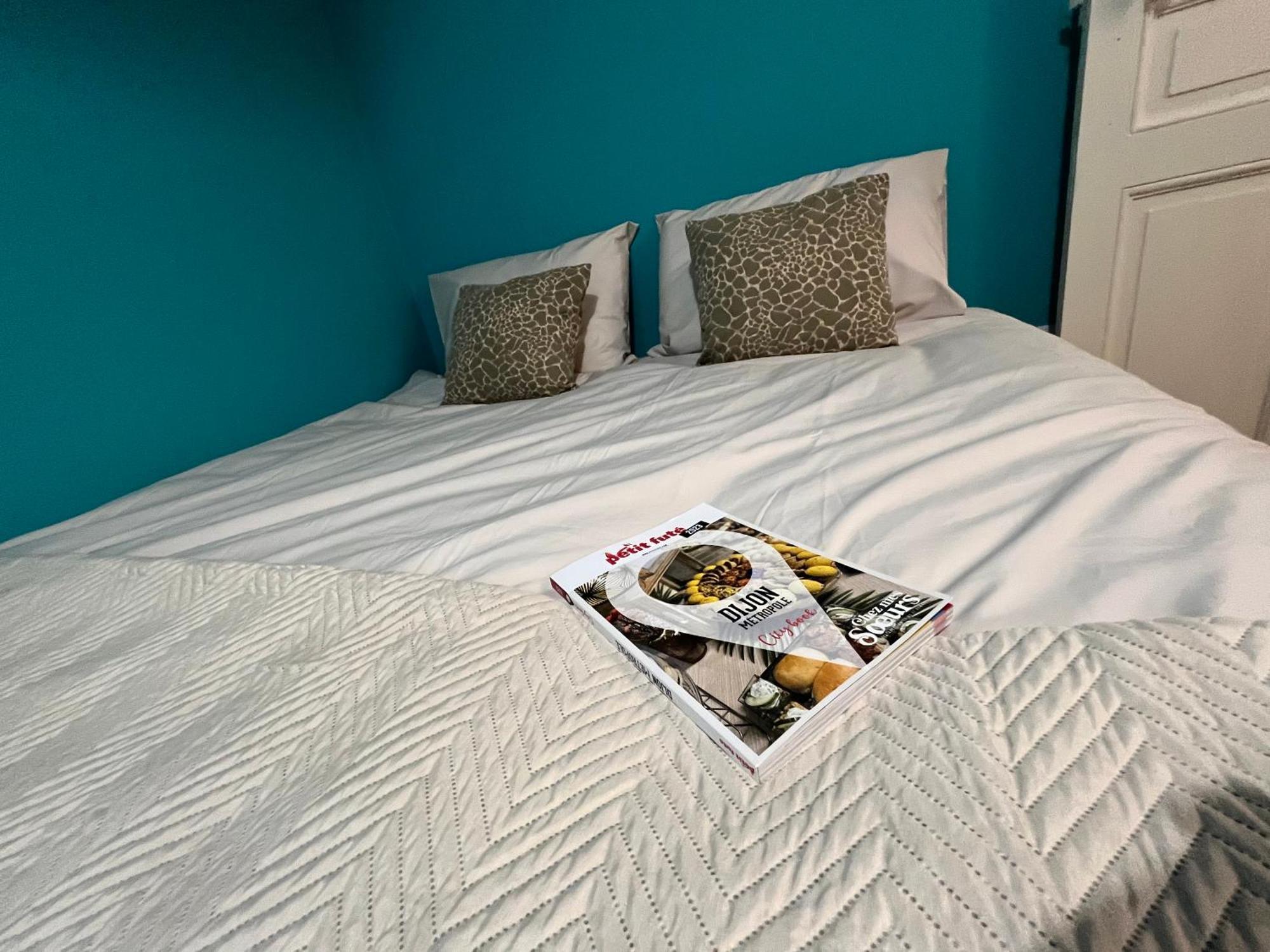 Apartamento Ca Se Passe Ici Dijon Exterior foto